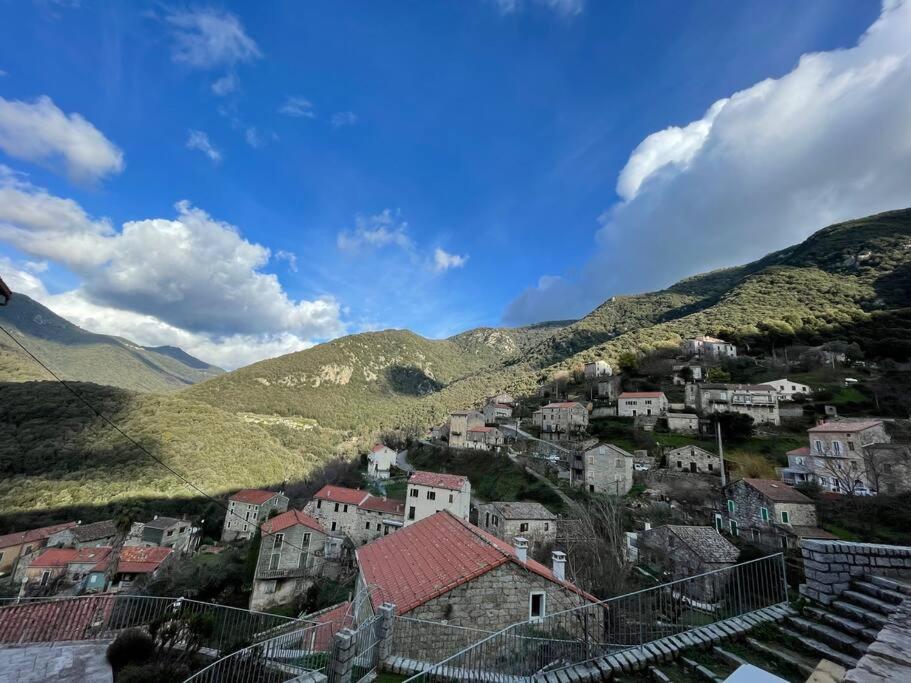Casa Arena Authentique Maison De Village Avec Piscine Au Coeur De L'Alta Rocca - Zoza Экстерьер фото