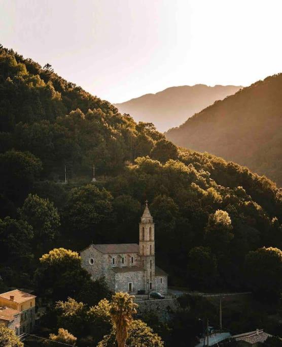 Casa Arena Authentique Maison De Village Avec Piscine Au Coeur De L'Alta Rocca - Zoza Экстерьер фото
