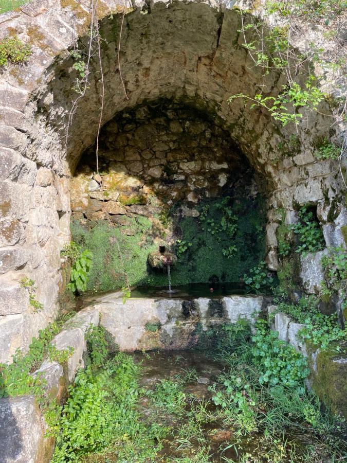 Casa Arena Authentique Maison De Village Avec Piscine Au Coeur De L'Alta Rocca - Zoza Экстерьер фото