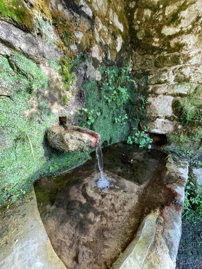 Casa Arena Authentique Maison De Village Avec Piscine Au Coeur De L'Alta Rocca - Zoza Экстерьер фото