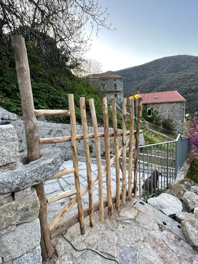 Casa Arena Authentique Maison De Village Avec Piscine Au Coeur De L'Alta Rocca - Zoza Экстерьер фото