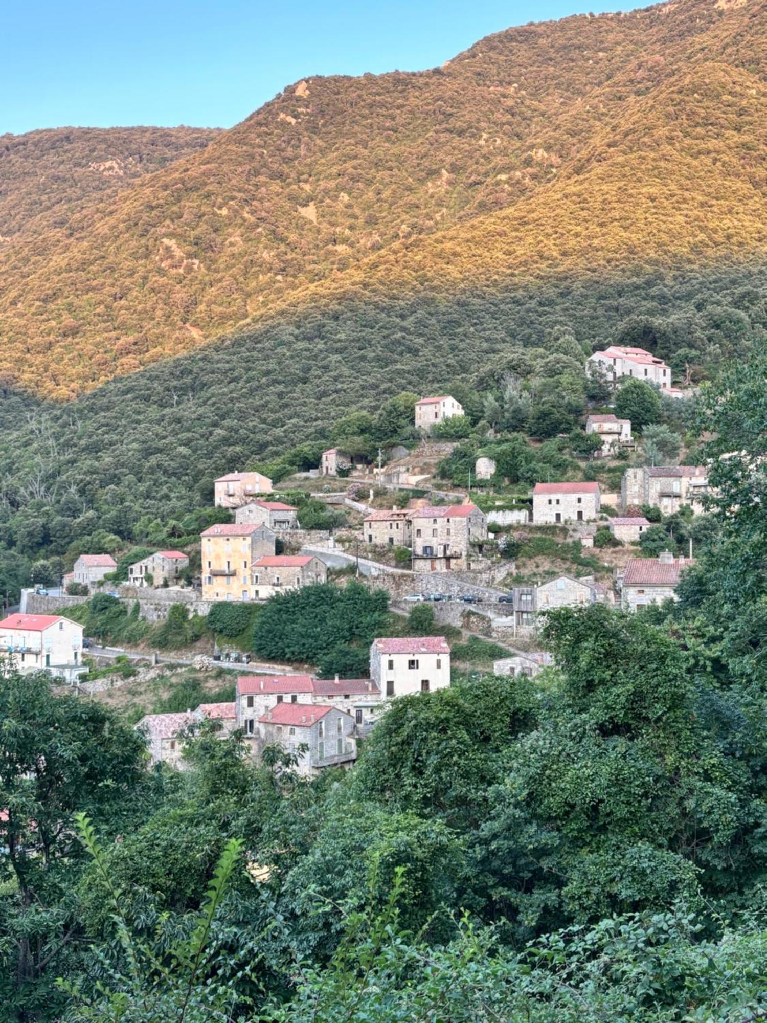 Casa Arena Authentique Maison De Village Avec Piscine Au Coeur De L'Alta Rocca - Zoza Экстерьер фото
